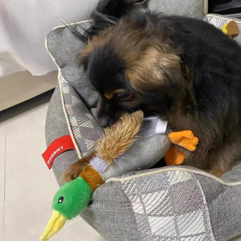 Patito Squeaky Indestructible 🦆