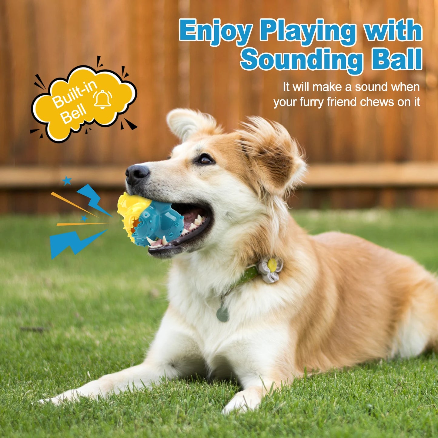 Pelota Squeaky Dispensadora de Premios