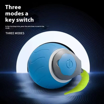 Pelota con Cola que se Mueve Sola