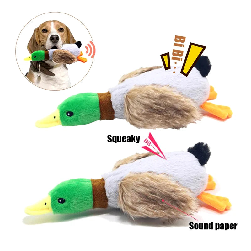 Patito Squeaky Indestructible 🦆
