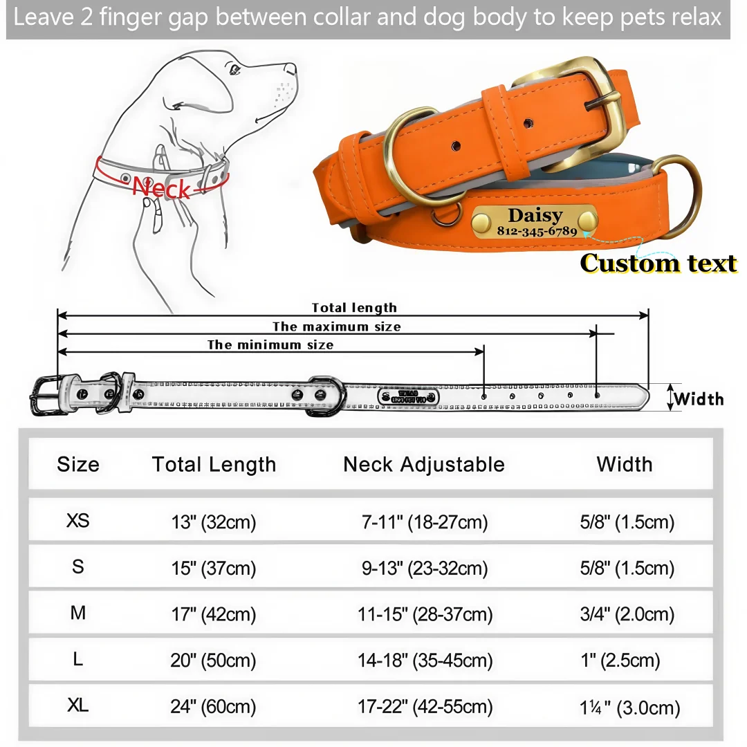 Collar de Cuero Acolchado Personalizado con Placa Grabada