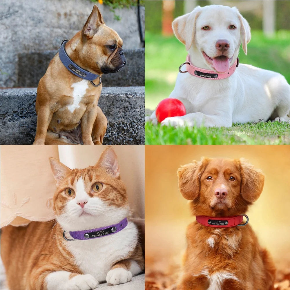 Collar de Cuero Acolchado Personalizado con Placa Grabada