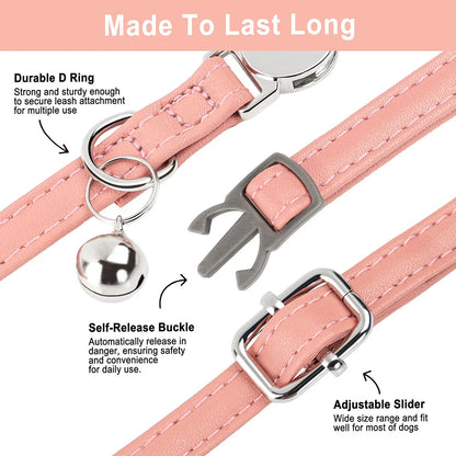 Collar Personalizado para Gato con Cascabel y Placa Grabada 😺